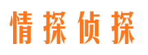 云岩市私家侦探